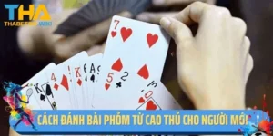 Cách Đánh Bài Phỏm Từ Cao Thủ Cho Người Mới Bắt Đầu
