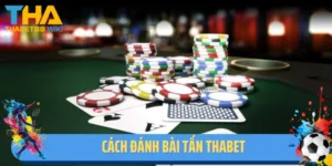 Bật Mí Cách Đánh Bài Tấn Thabet Hiệu Quả Nhất Dành Cho Bet Thủ